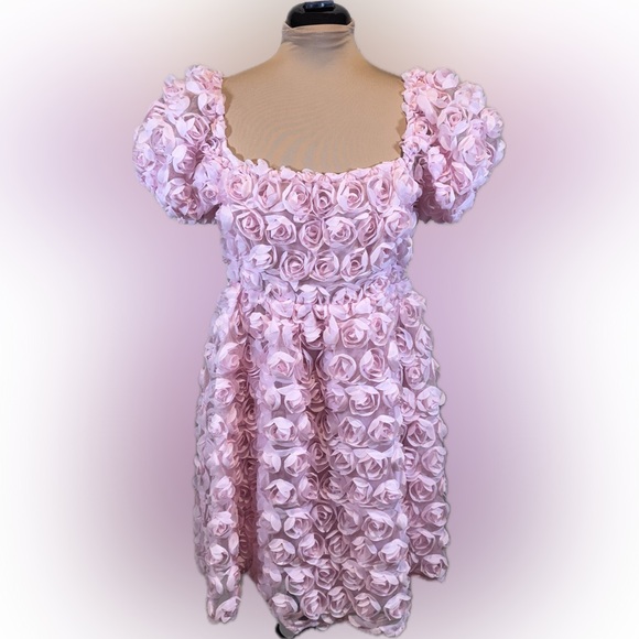 Altar'd State Dresses & Skirts - Altar'd State Krystal Rosette Dress